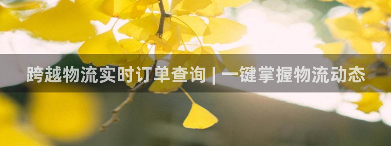 28圈注册网站：跨越物流实时订单查询