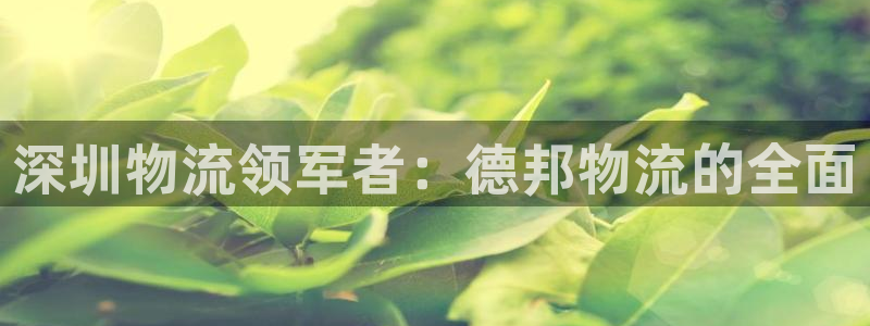 28圈反水：深圳物流领军者：德邦物流