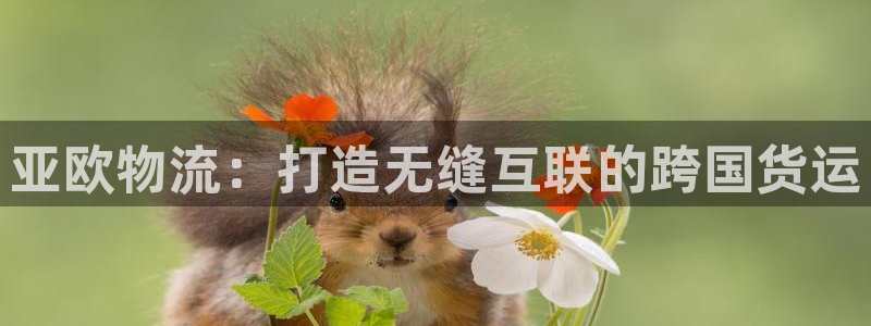 28圈如何退款：亚欧物流：打造无缝互