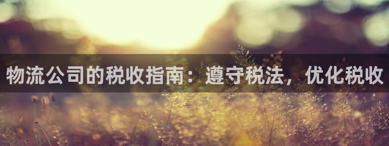 28圈官网版下载：物流公司的税收指南