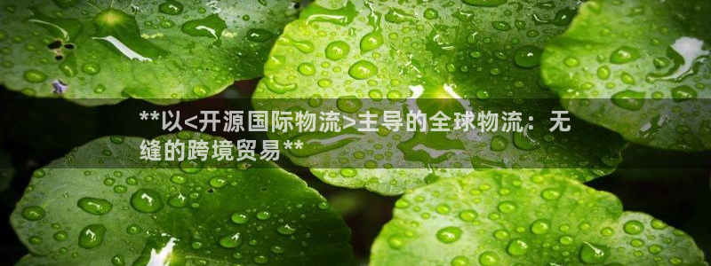 28圈麻将胡了：**以<开源国际物流