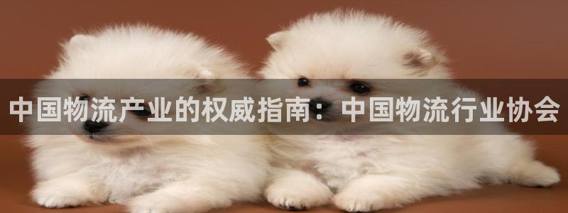 28圈链接是什么：中国物流产业的权威