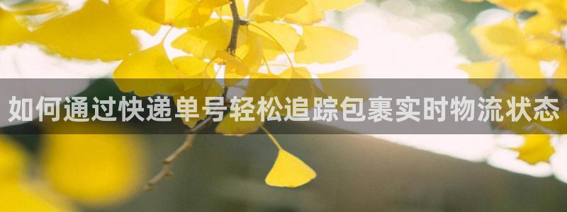 28圈头像：如何通过快递单号轻松追踪