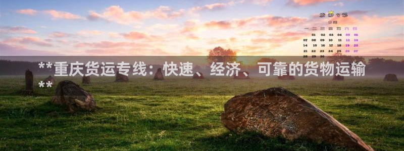 28圈大神预测