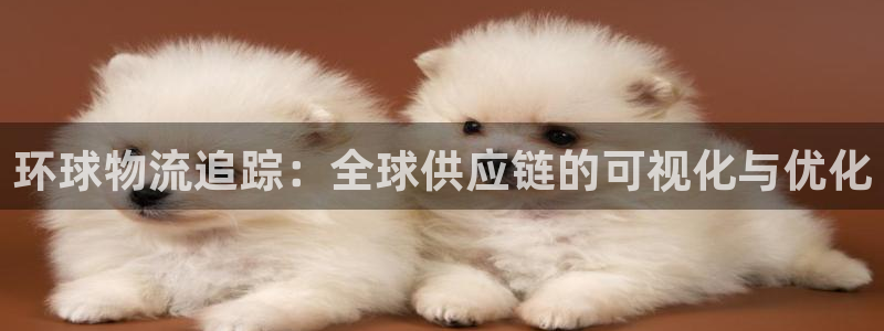 28圈新用户怎么注册：环球物流追踪：