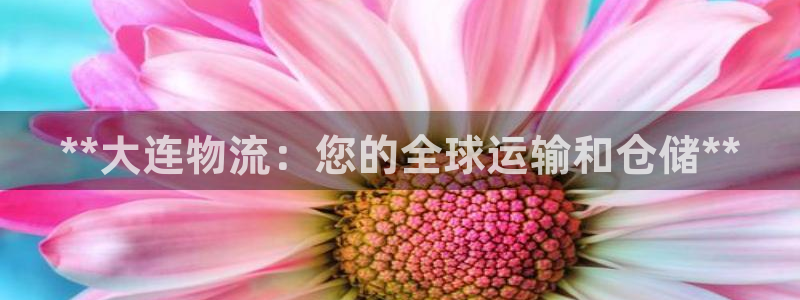 28圈注册链接：**大连物流：您的全