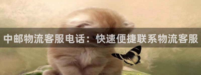 28圈注册网站：中邮物流客服电话：快