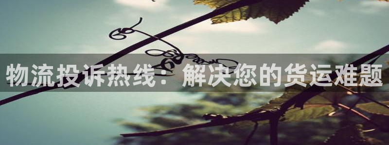 28圈注册条件：物流投诉热线：解决您