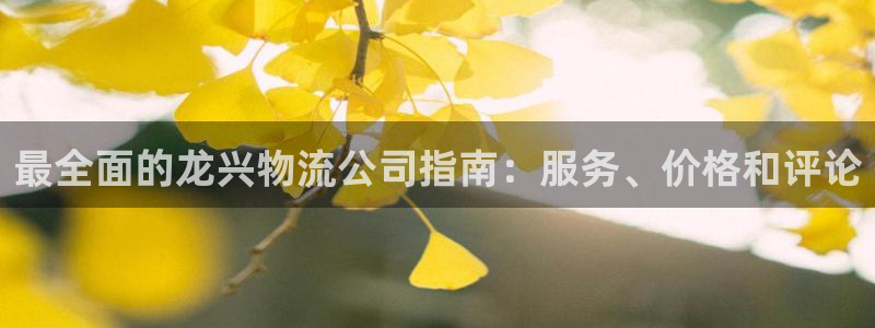 28圈是正规平台吗：最全面的龙兴物流