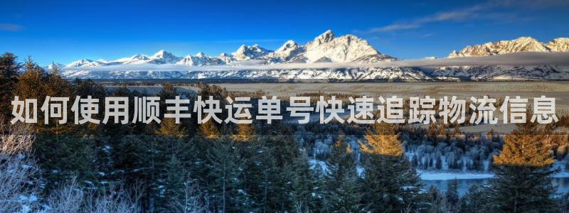 28圈pg如何退钱：如何使用顺丰快运