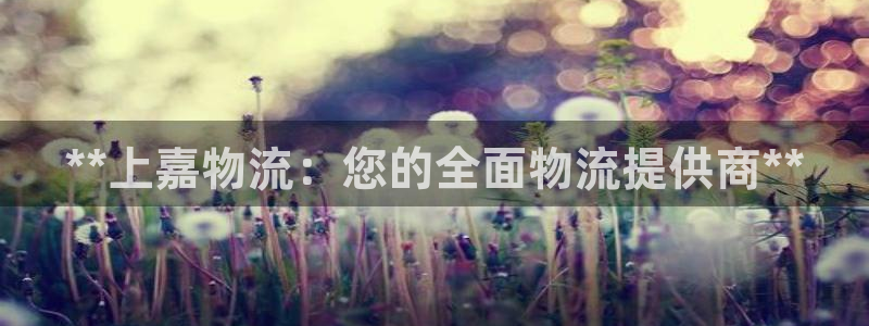 28圈是正规软件吗