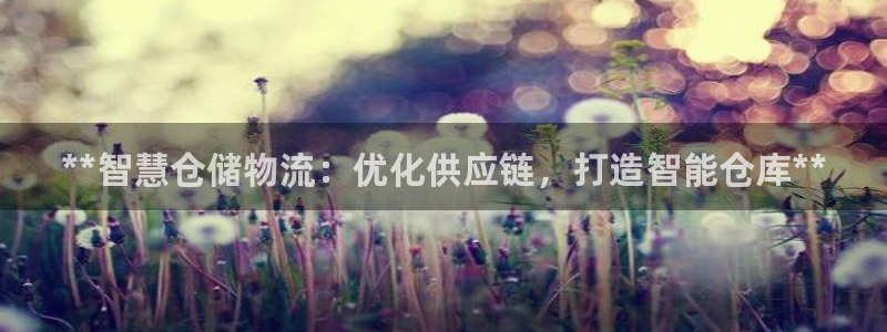 28圈玩法
