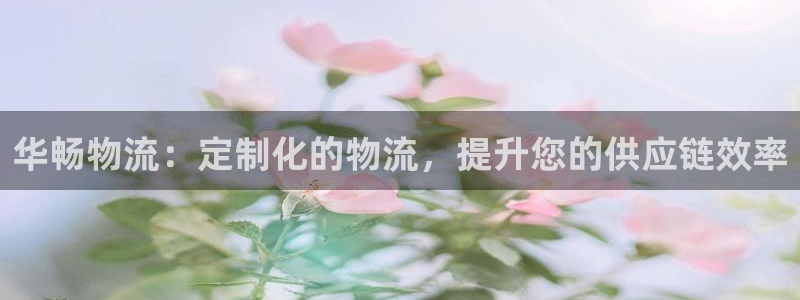 28圈自行车图片