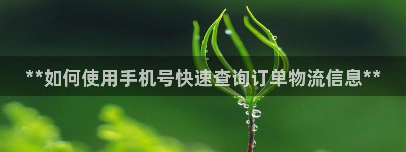 28圈口戒指是多大