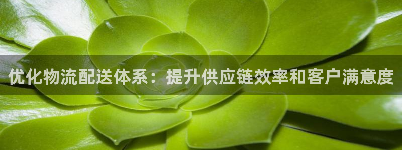 28圈的自行车：优化物流配送体系：提