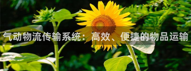 28圈黑吗