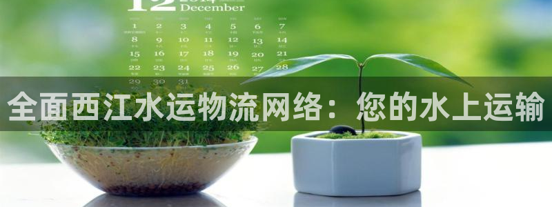 28圈预测加拿大师准：全面西江水运物