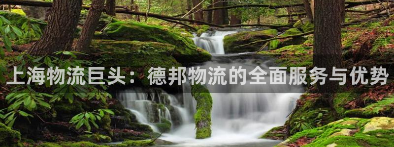 28圈官网多少：上海物流巨头：德邦物