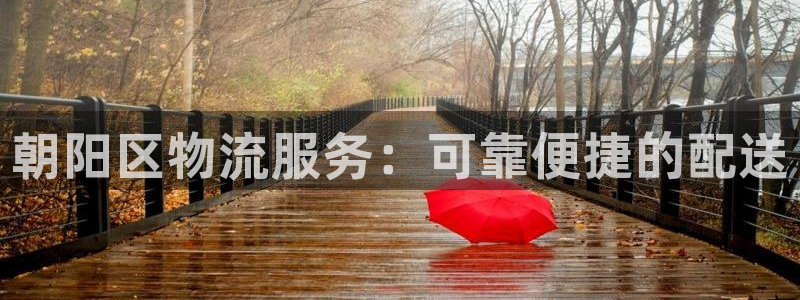28圈怎么下载不了：朝阳区物流服务：