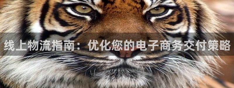 28圈口