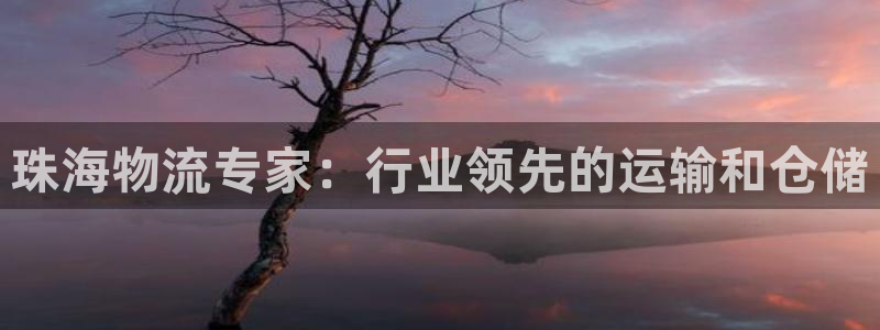 28圈注册网站多少钱：珠海物流专家：