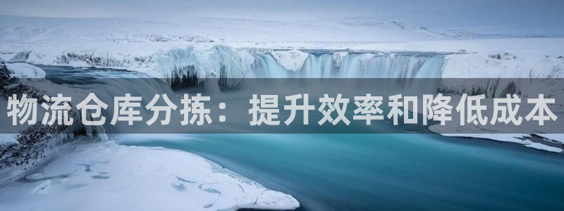 28圈加拿大走势：物流仓库分拣：提升
