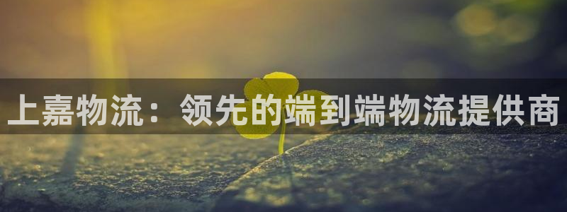 28圈账号注册：上嘉物流：领先的端到