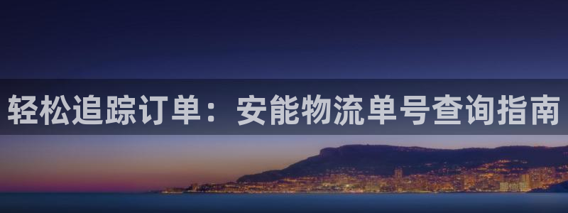 28圈合法吗：轻松追踪订单：安能物流
