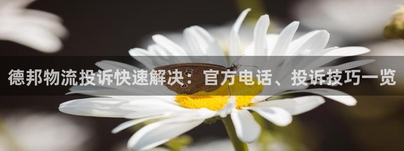 28圈合法吗