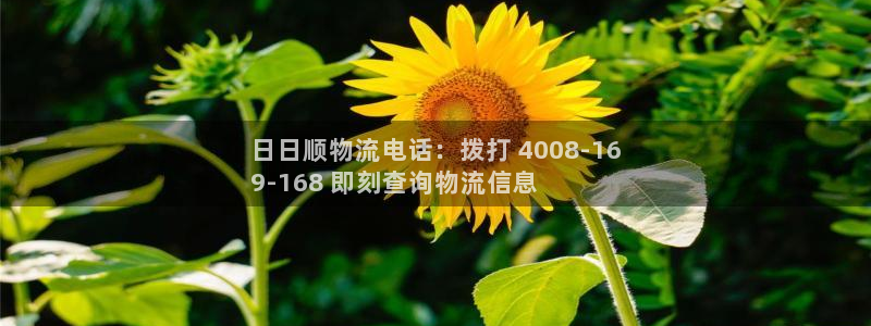 28圈p扣除是什么意思
