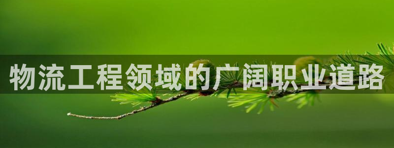 28圈辅助