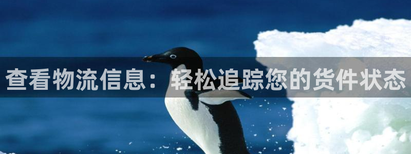 28圈起来的符号：查看物流信息：轻松