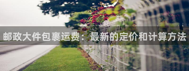 28圈自行车图片：邮政大件包裹运费：