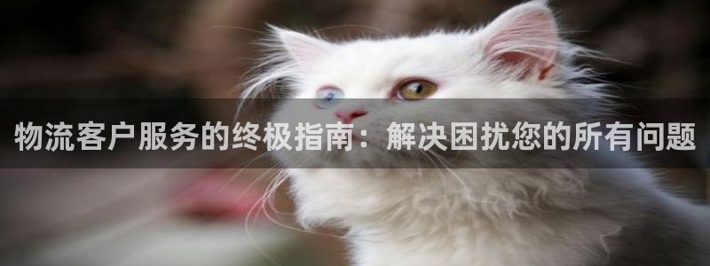 28圈登陆网：物流客户服务的终极指南