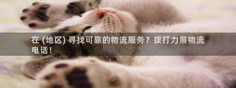 28圈比特28预测在线预测：在 (地