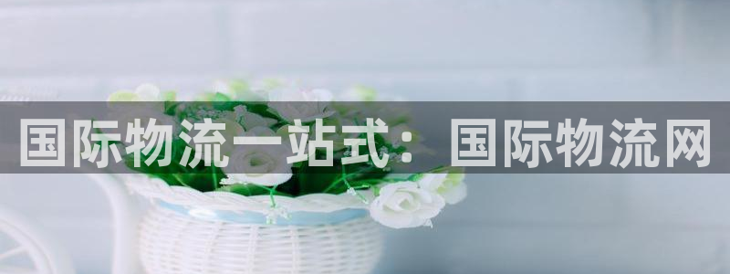 28圈加拿大2.8预测在线预测