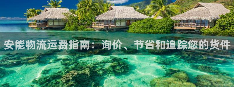 28圈注册网站多少：安能物流运费指南