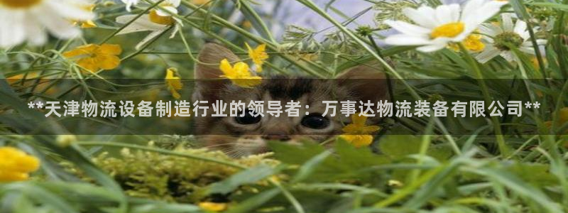 28圈可以退款吗