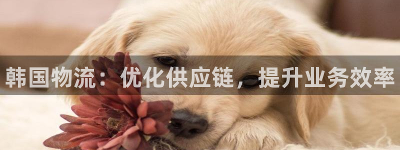 28圈娱乐官网网页入口