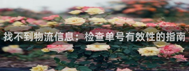 28圈官方官网