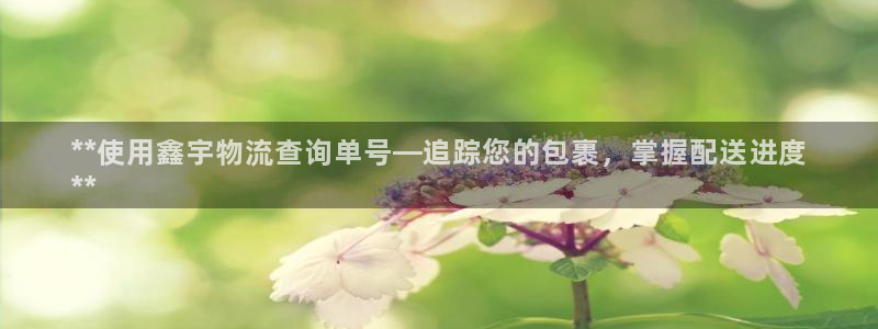 28圈加拿大真假怎么看