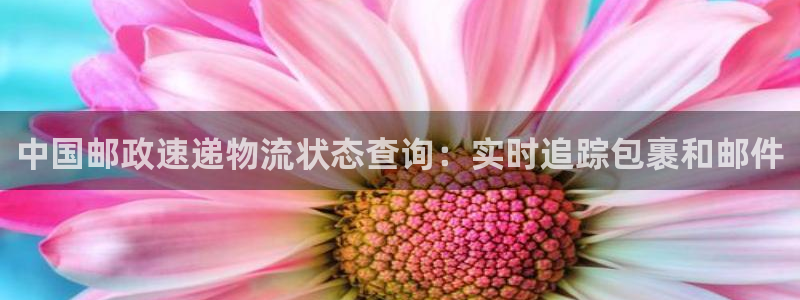 28圈为什么打不开