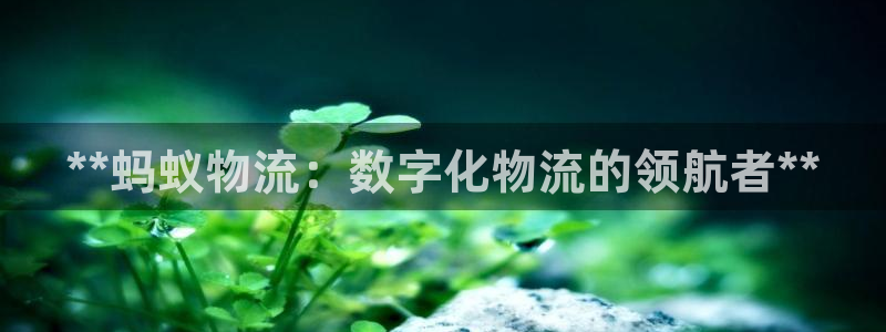 28圈ccm官网版