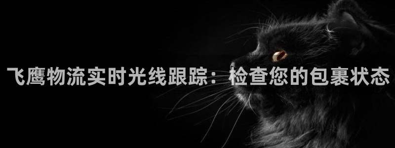28圈犯法吗：飞鹰物流实时光线跟踪：
