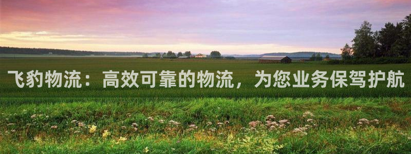 28圈入口问一问：飞豹物流：高效可靠