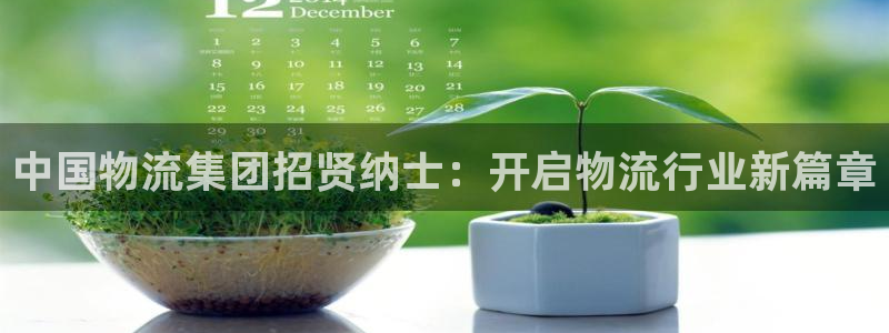 28圈加拿大是什么意思：中国物流集团