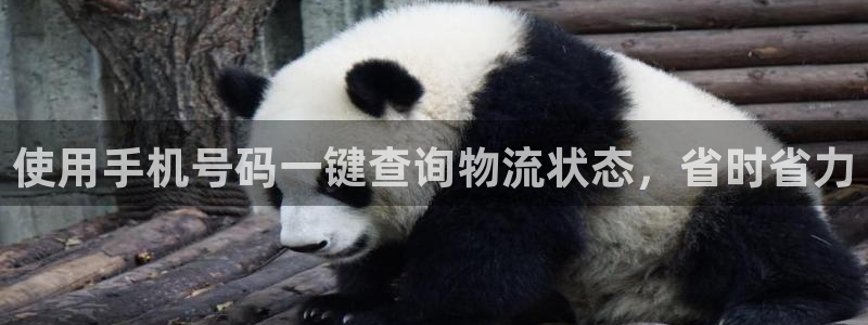 28圈退款