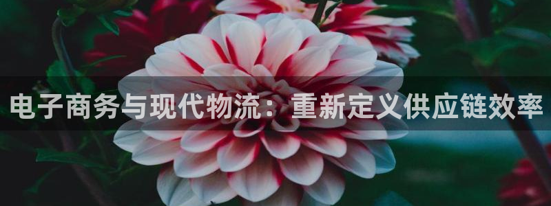 28圈自行车图片大全