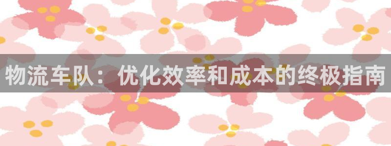 南宫28圈官网：物流车队：优化效率和
