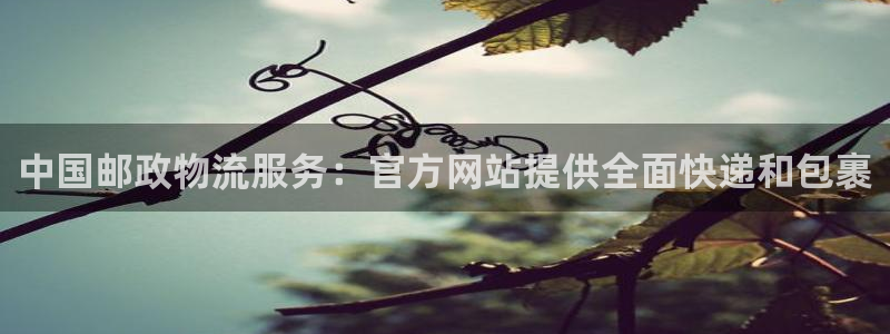 28圈注册网站谁有：中国邮政物流服务